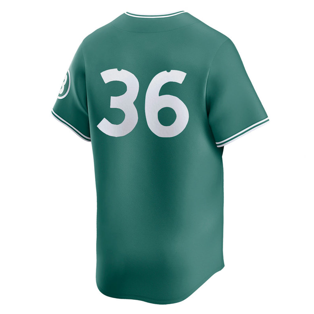 Blandc B.Red Sox #36 Triston Casas Player Green City Connect Limited Home Game Stitched Jerseys